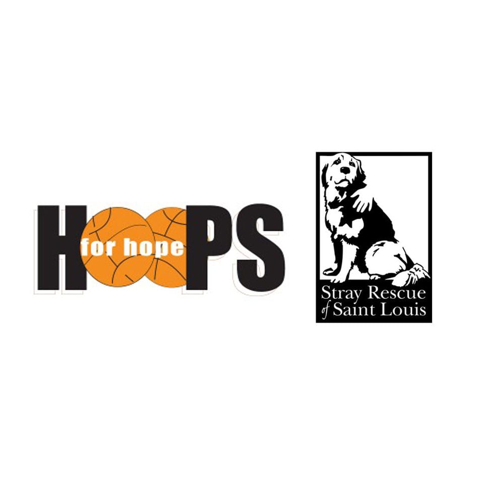 2019 Anders Hoops for Hope with Saint Louis Crisis Nursery