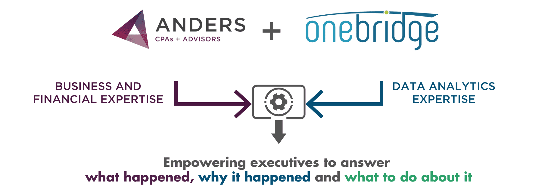 Anders Business and Financial Expertise and Onebridge Data Analytics Expertise